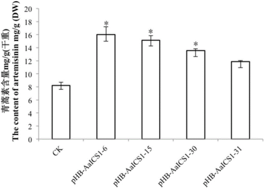 Method for increasing content of artemisinin in artemisia annua through ICS1 gene transferring