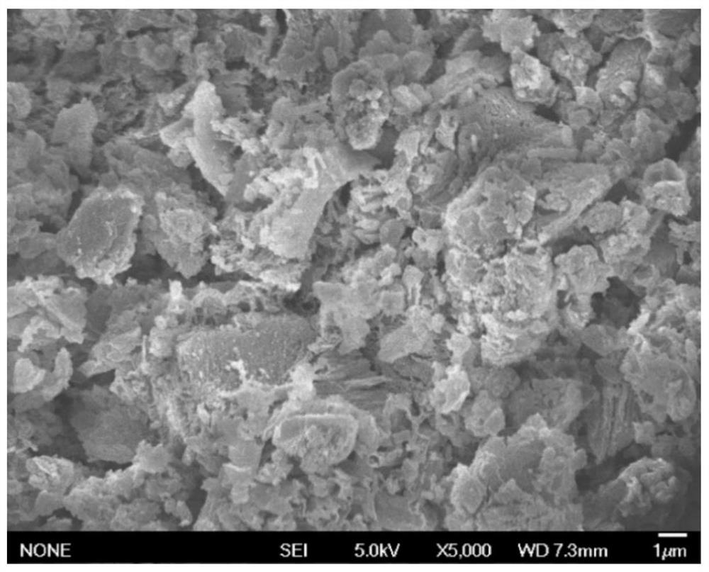 A nitrogen-doped graphite-like carbon nitride visible light catalyst and its preparation method and application