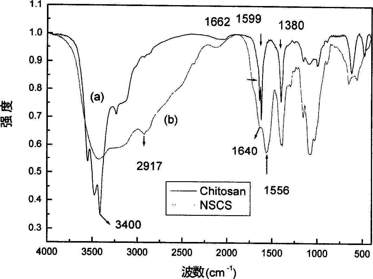 N-amber diacyl chitosan self-assembling nano particles and process for preparing same