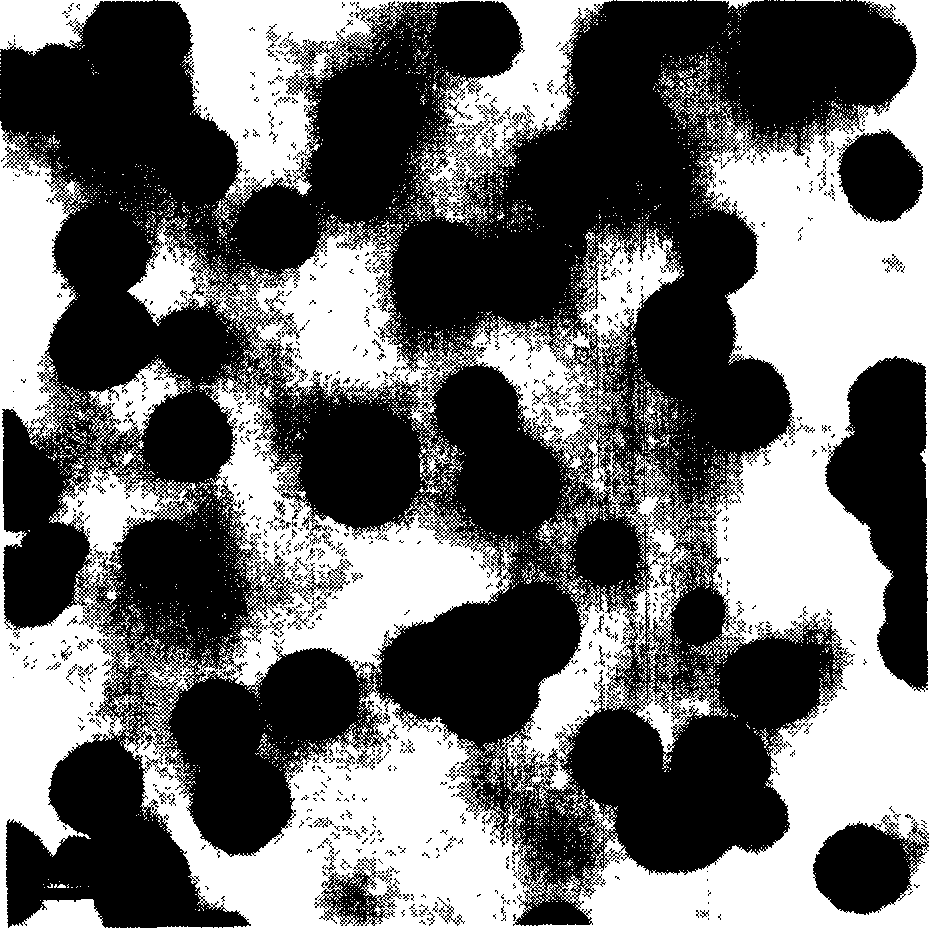 N-amber diacyl chitosan self-assembling nano particles and process for preparing same