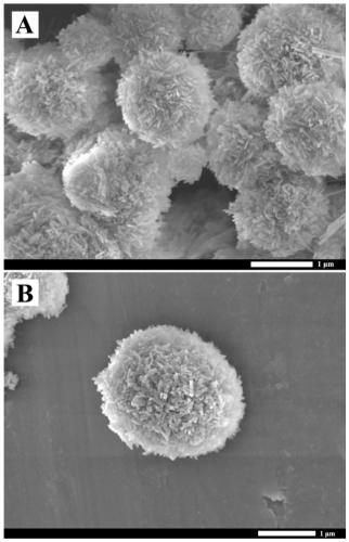 Hydroxyapatite nano-column self-assembled microsphere and preparation method thereof