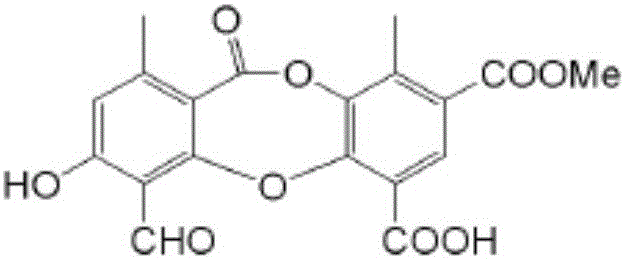 Application of psoromic acid in preparation of medicine for treating brain glioma and acute myeloid leukemia