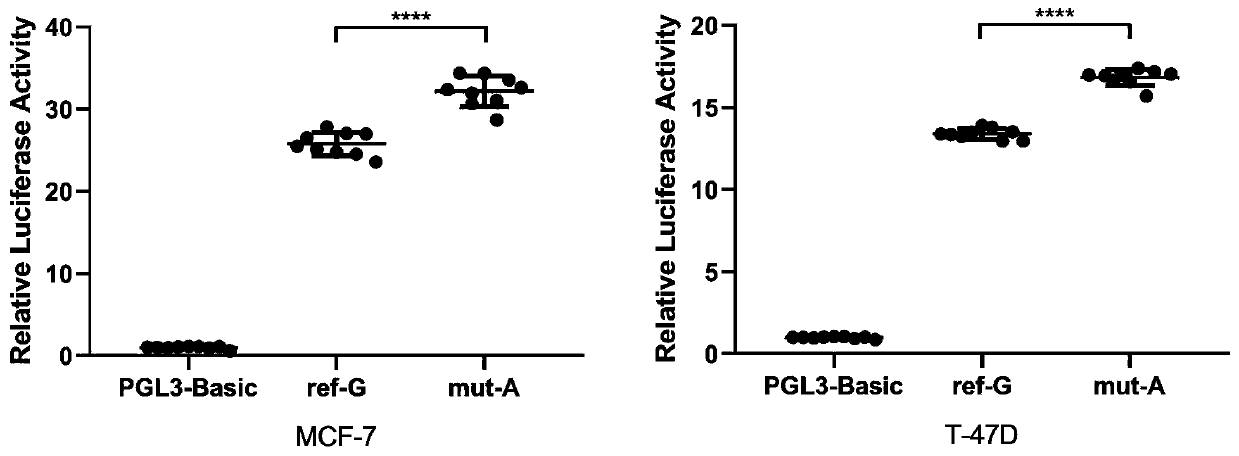 Marker for predicting efficacy of neoadjuvant chemotherapy for breast cancer patients and application of marker