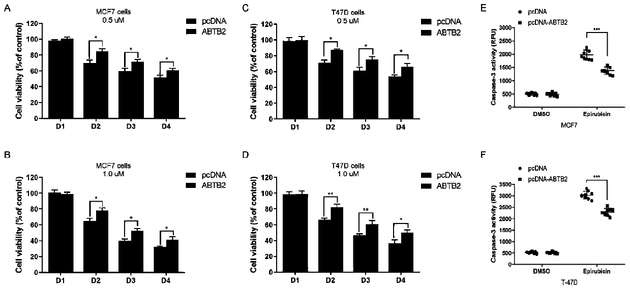 Marker for predicting efficacy of neoadjuvant chemotherapy for breast cancer patients and application of marker