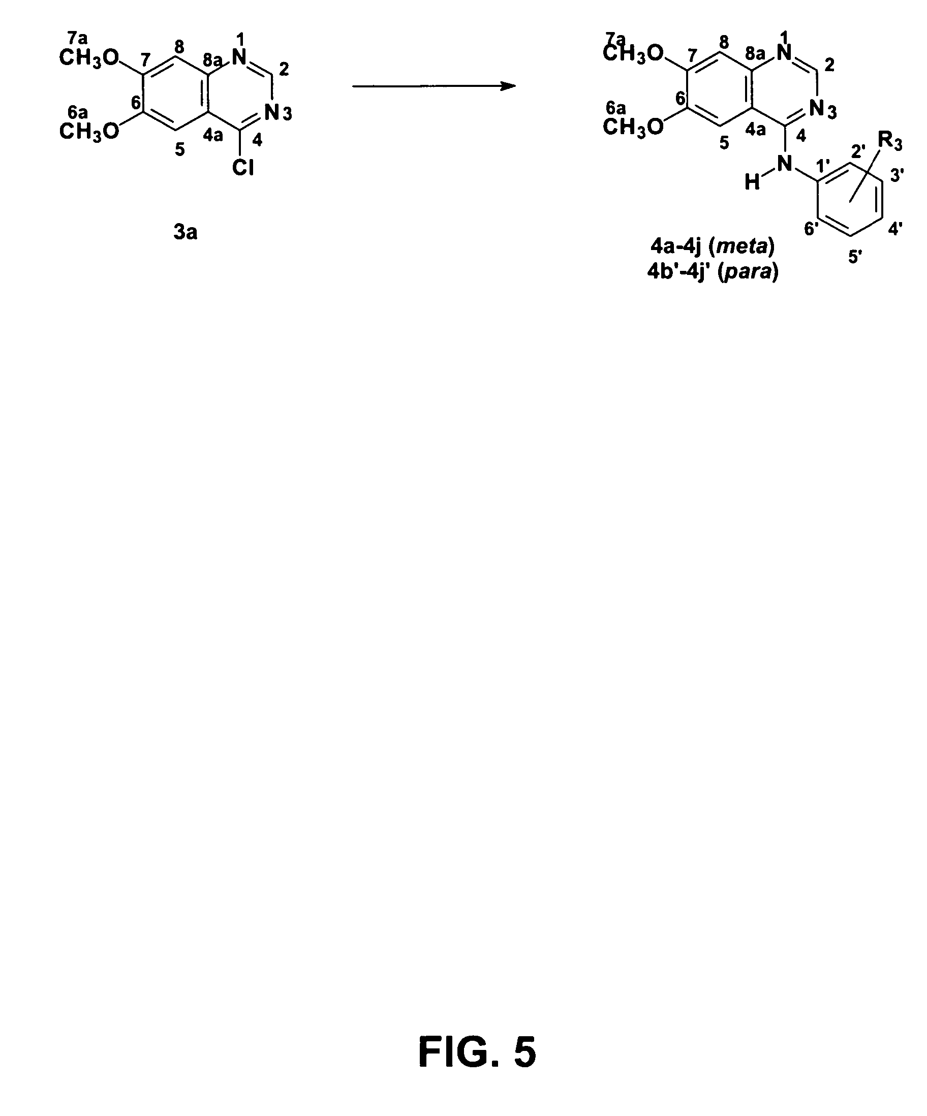 4-anilinoquinazoline derivatives with adenosine-kinase inhibitor properties