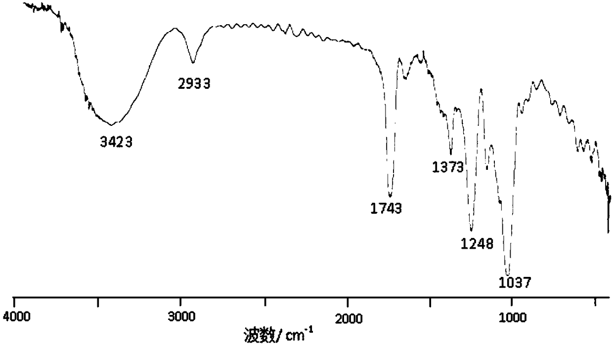 Acetylated modified product of hollyhock stem and leaf polysaccharide with enhanced immune activity and preparation method thereof