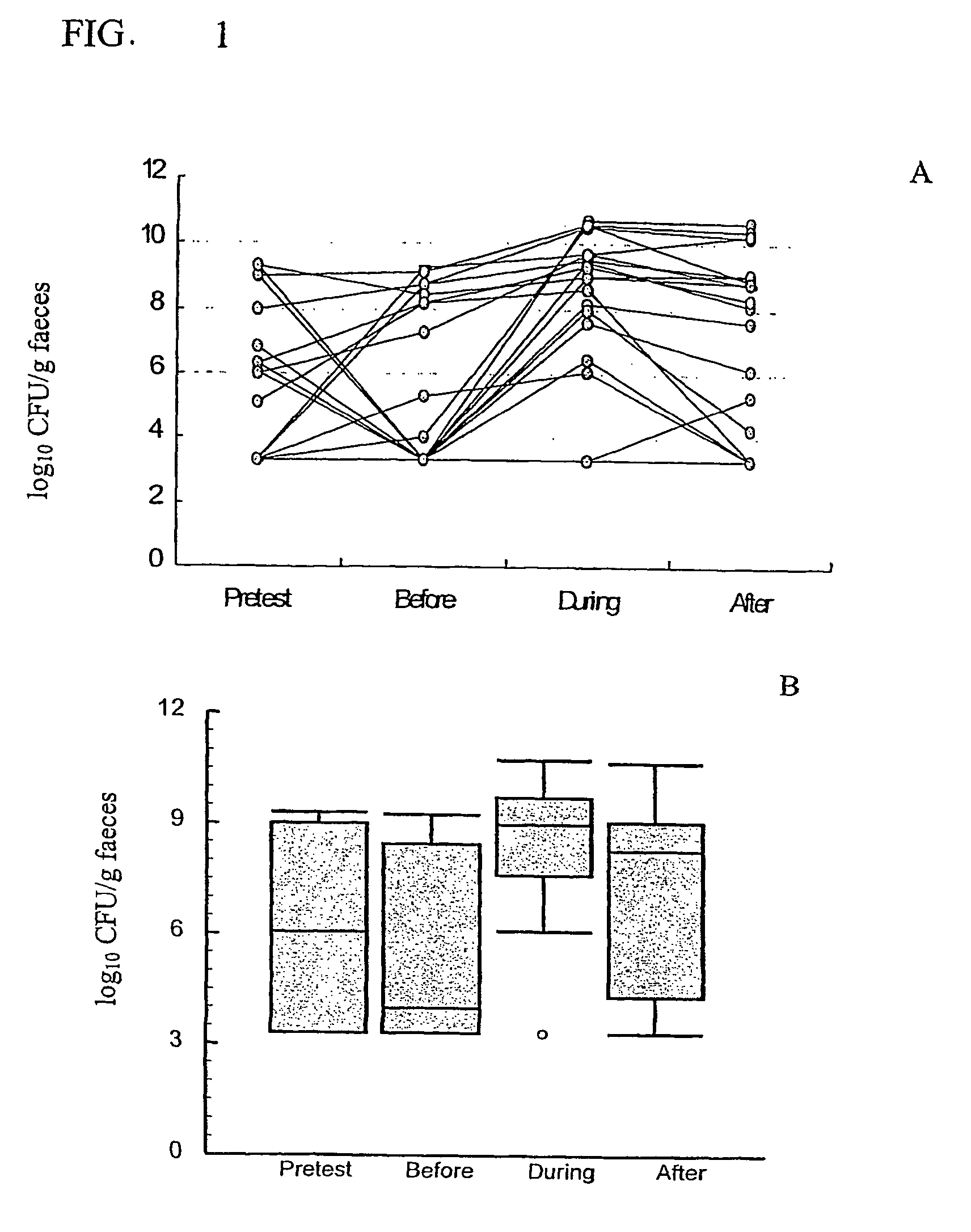 Composition comprising a prebiotic for decreasing inflammatory process and abnormal activation of non-specific immune parameters