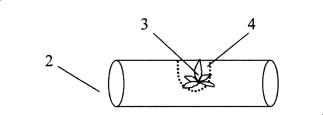 Method for preventing early floriation and few leaves of flue-cured tobacco