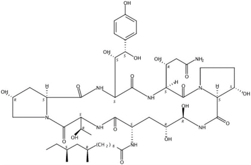 Fermentation method of pneumocandin B0