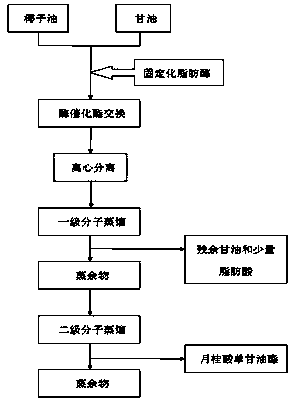 Method for preparing lauric acid monoglyceride by immobilized lipase