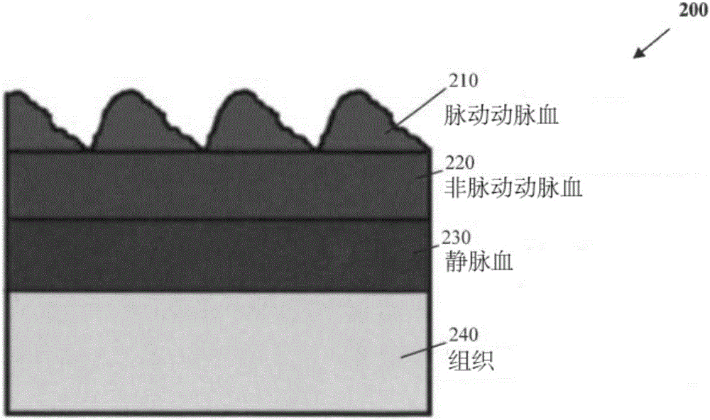 Optical heart rate sensor