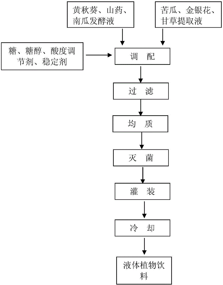 Functional plant fermented beverage and preparation method thereof