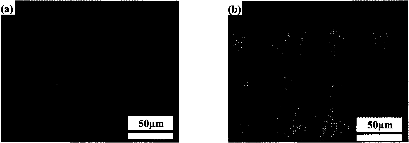 Low-temperature high-speed solid-powder chromium-impregnation method under action of direct current field