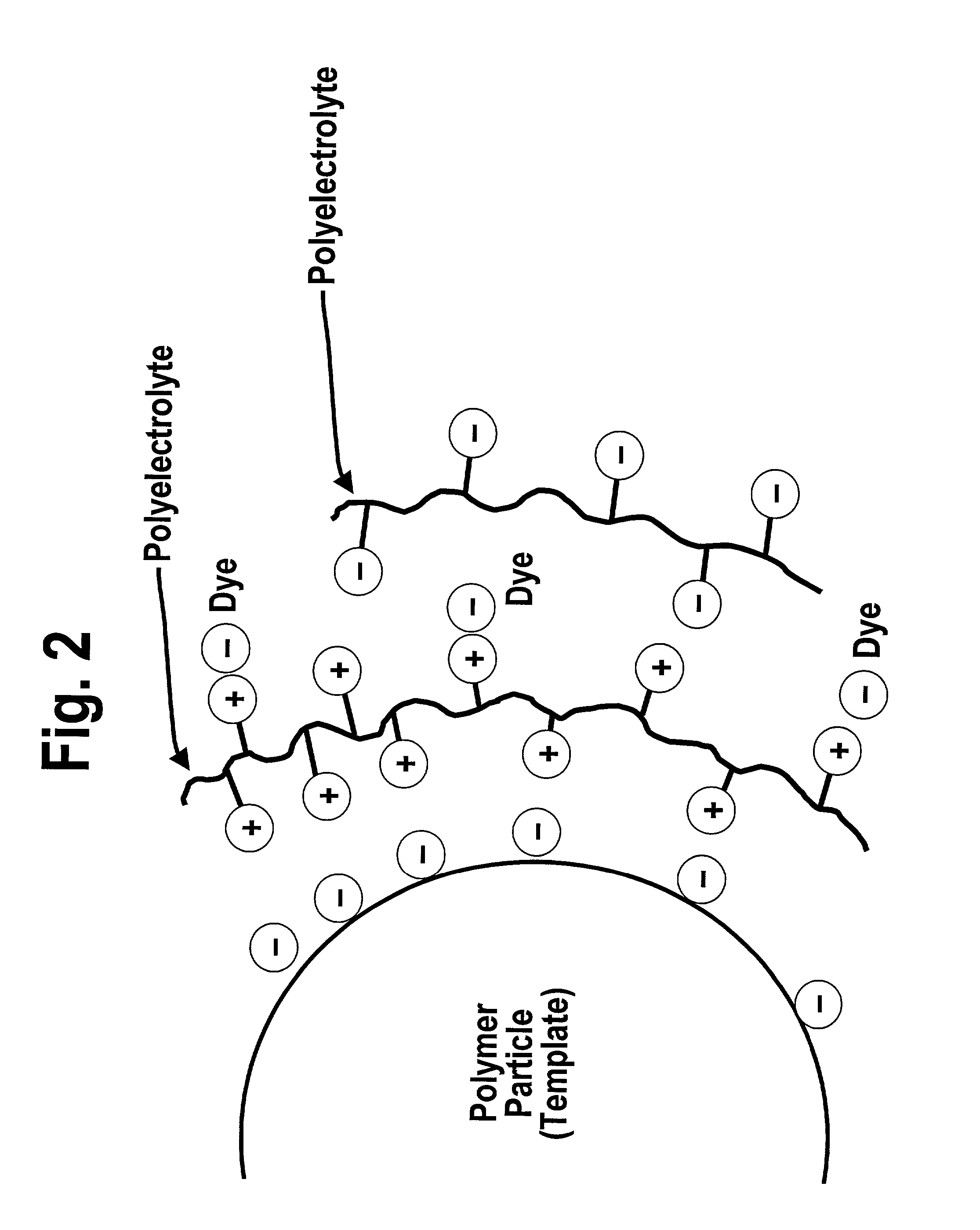 Recording medium with nanoparticles and methods of making the same