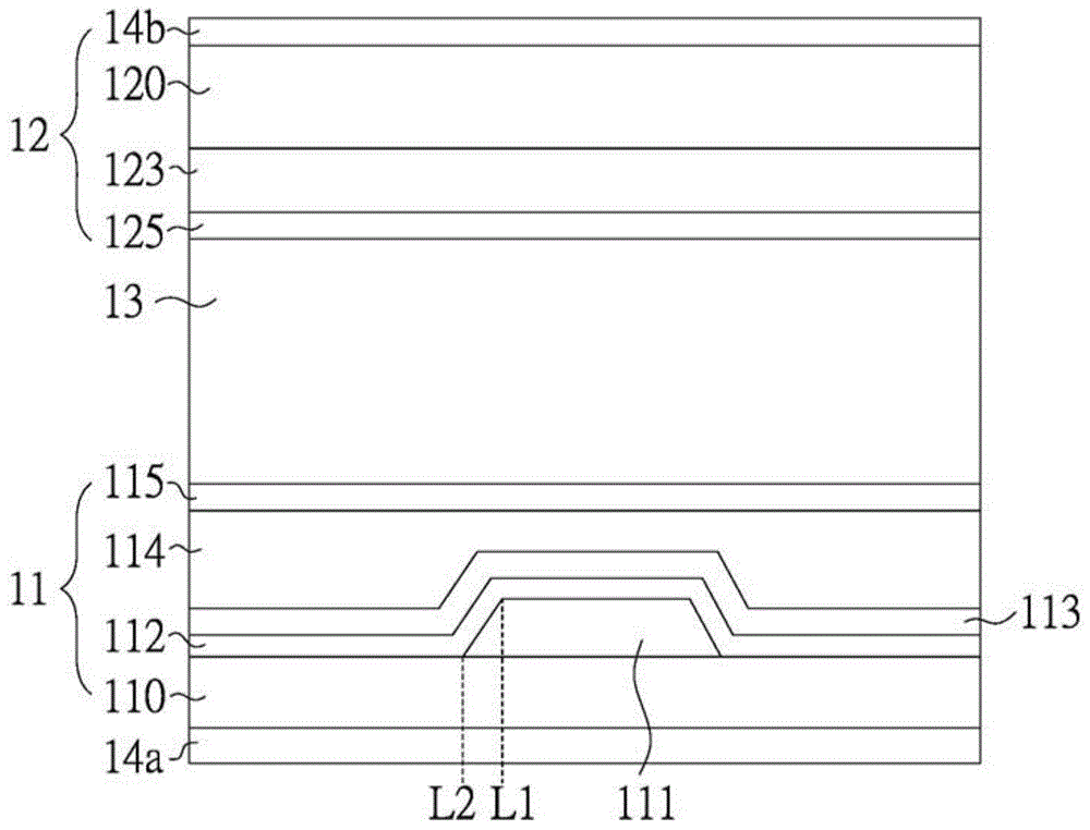 Display panel of conductive layer with variable line widths