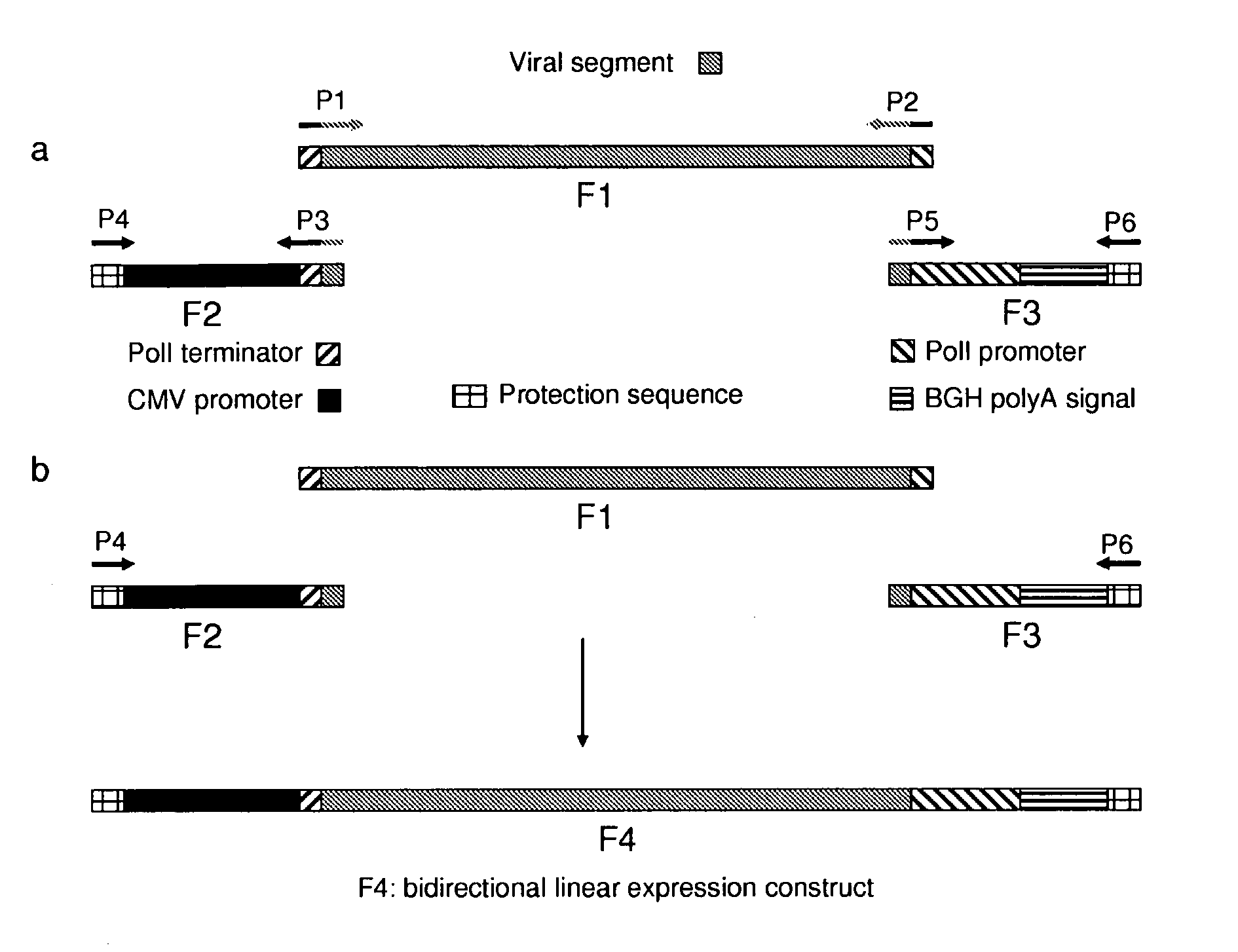 Linear expression constructs for production of influenza virus particles