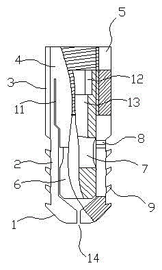 a vertebral body fusion