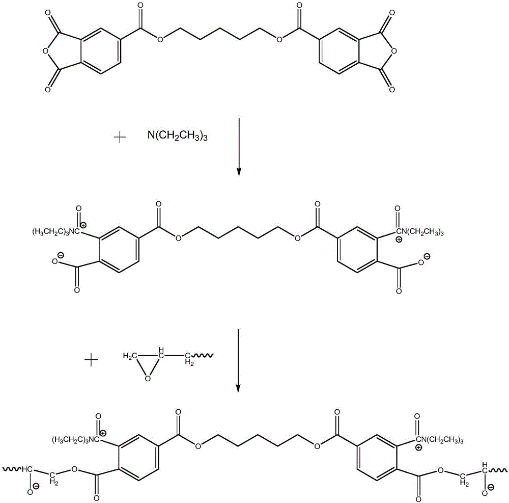 curing-agent-used-for-epoxy-resin-system-and-application-method-thereof