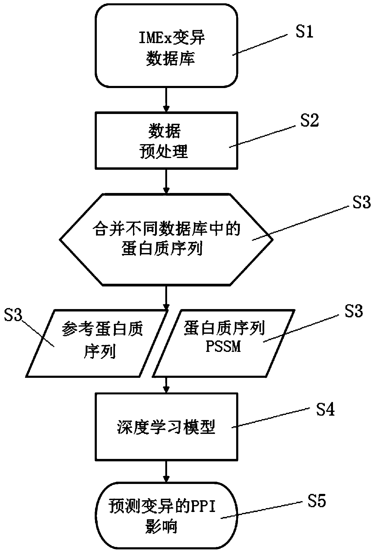 Method for judging influence on protein interaction based on mutation information