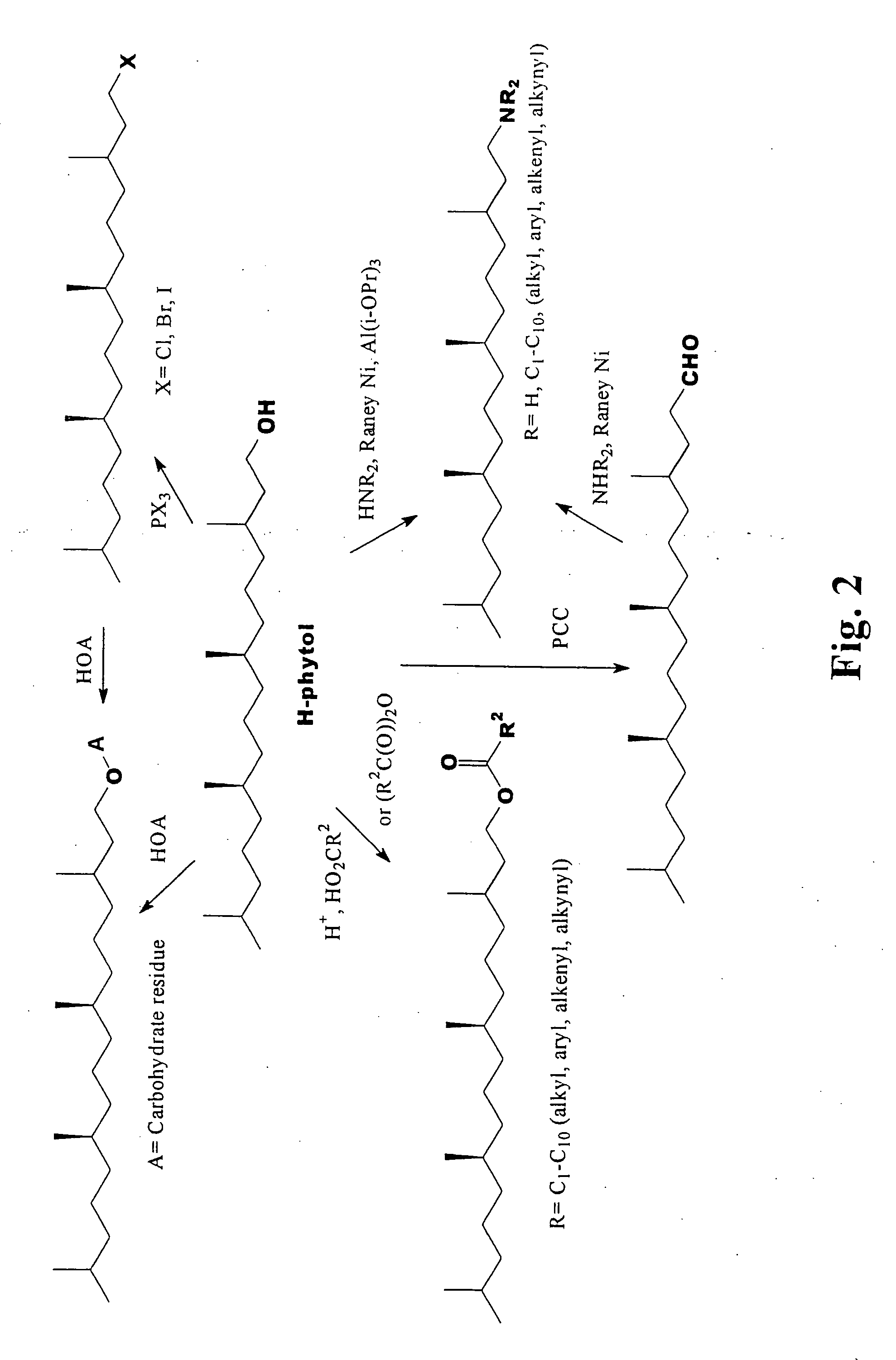 Phytol derived immunoadjuvants and their use in vaccine formulations