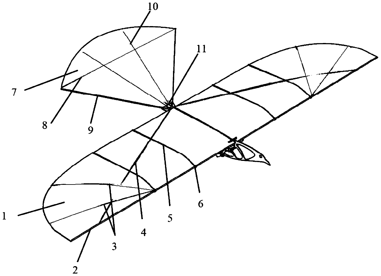 Air-drop flapping wing flying robot based on cambered surface wing design