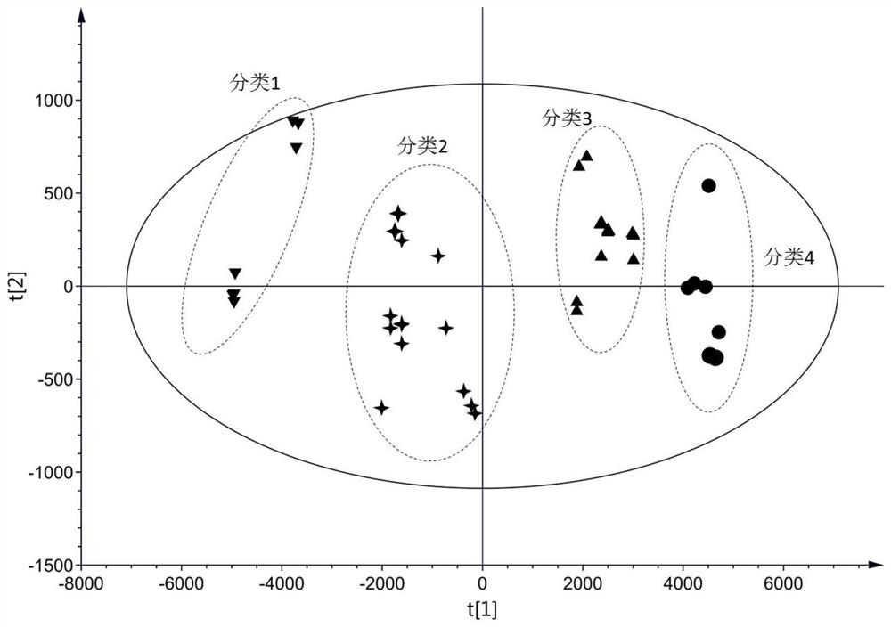 Testing methods for quality grades of traditional Chinese medicines