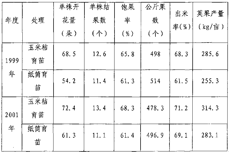 Root-protecting seedling raising cultivation method