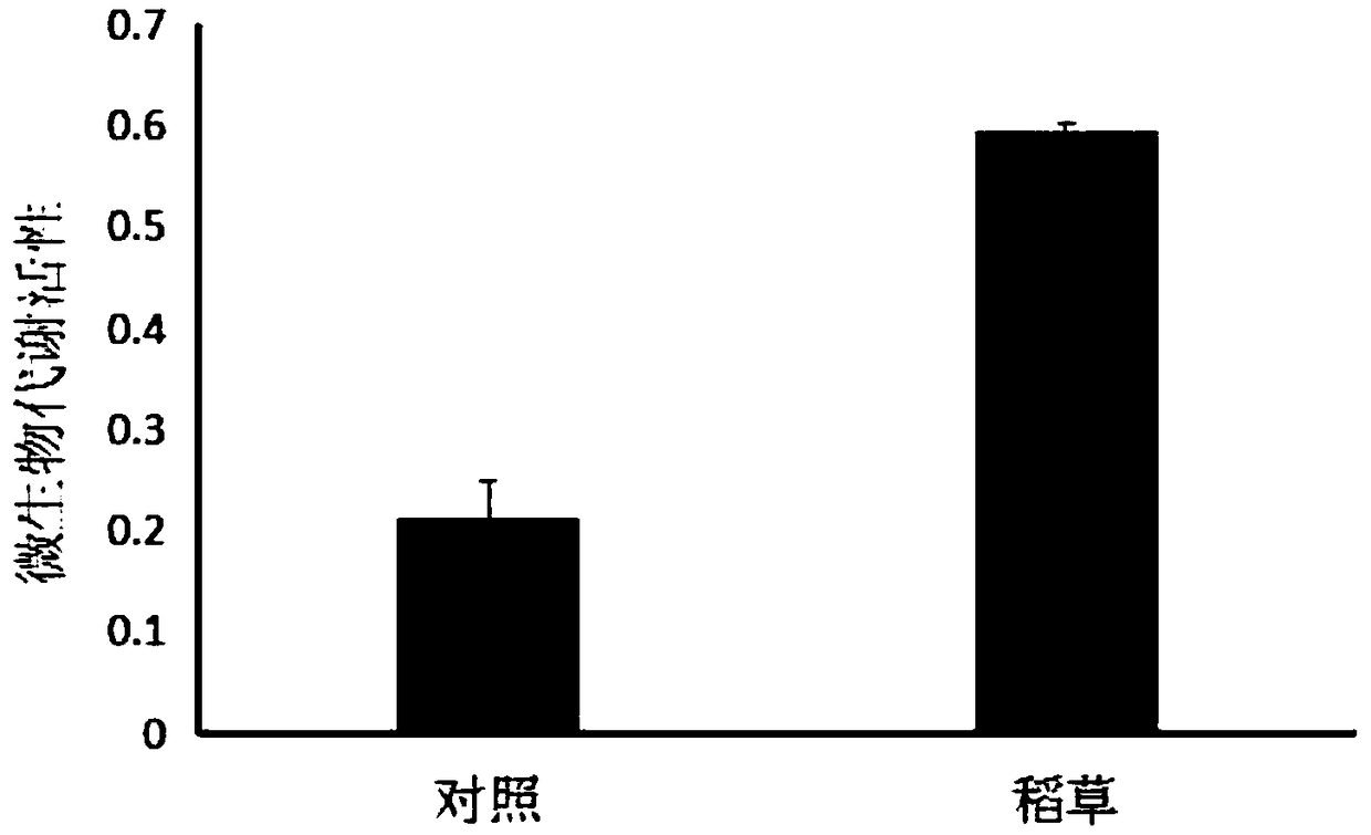 High organic matter tobacco field soil flue-cured tobacco nitrogen controlling and quality improving method