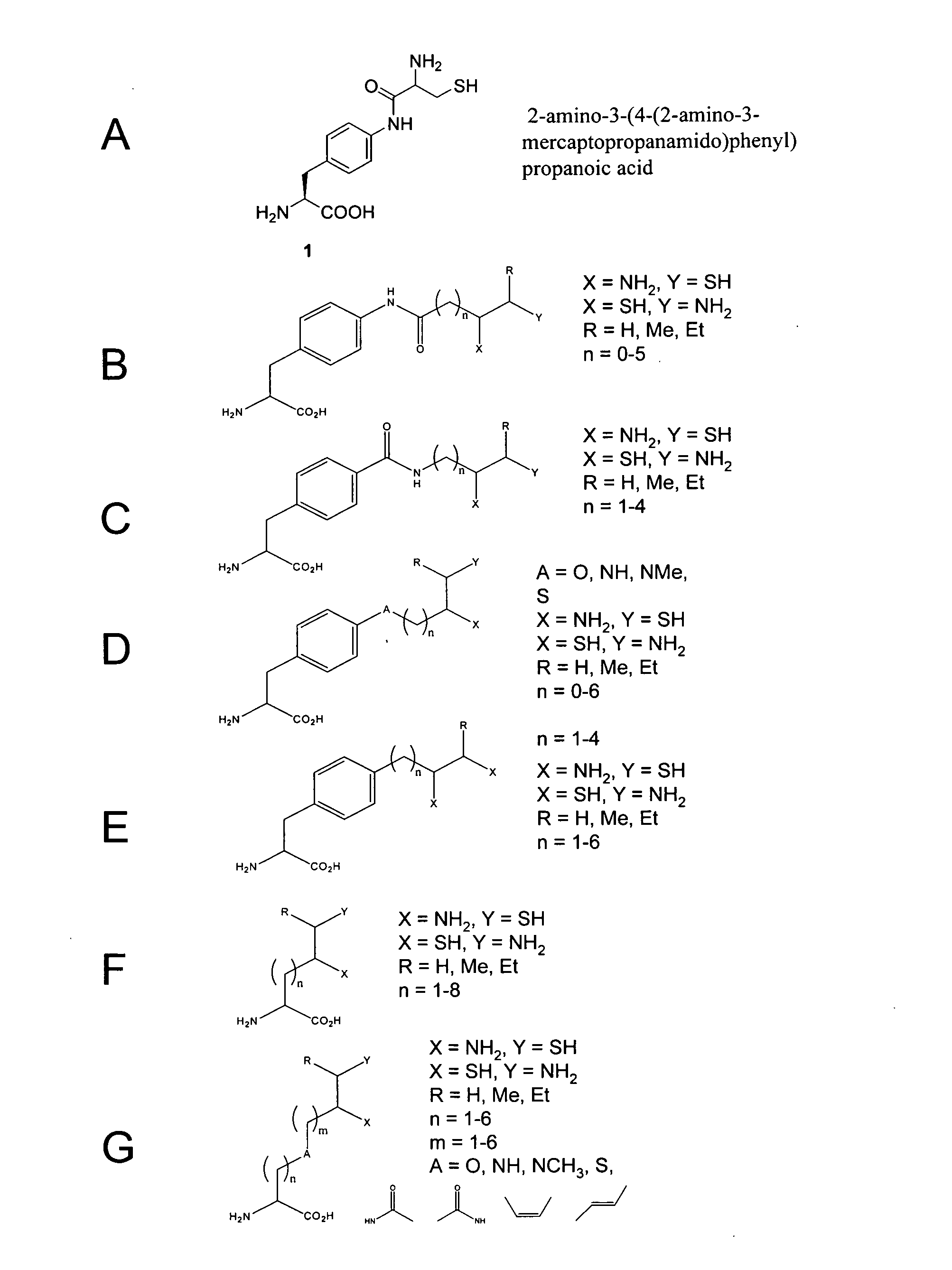 In vivo incorporation of an unnatural amino acid comprising a 1,2-aminothiol group