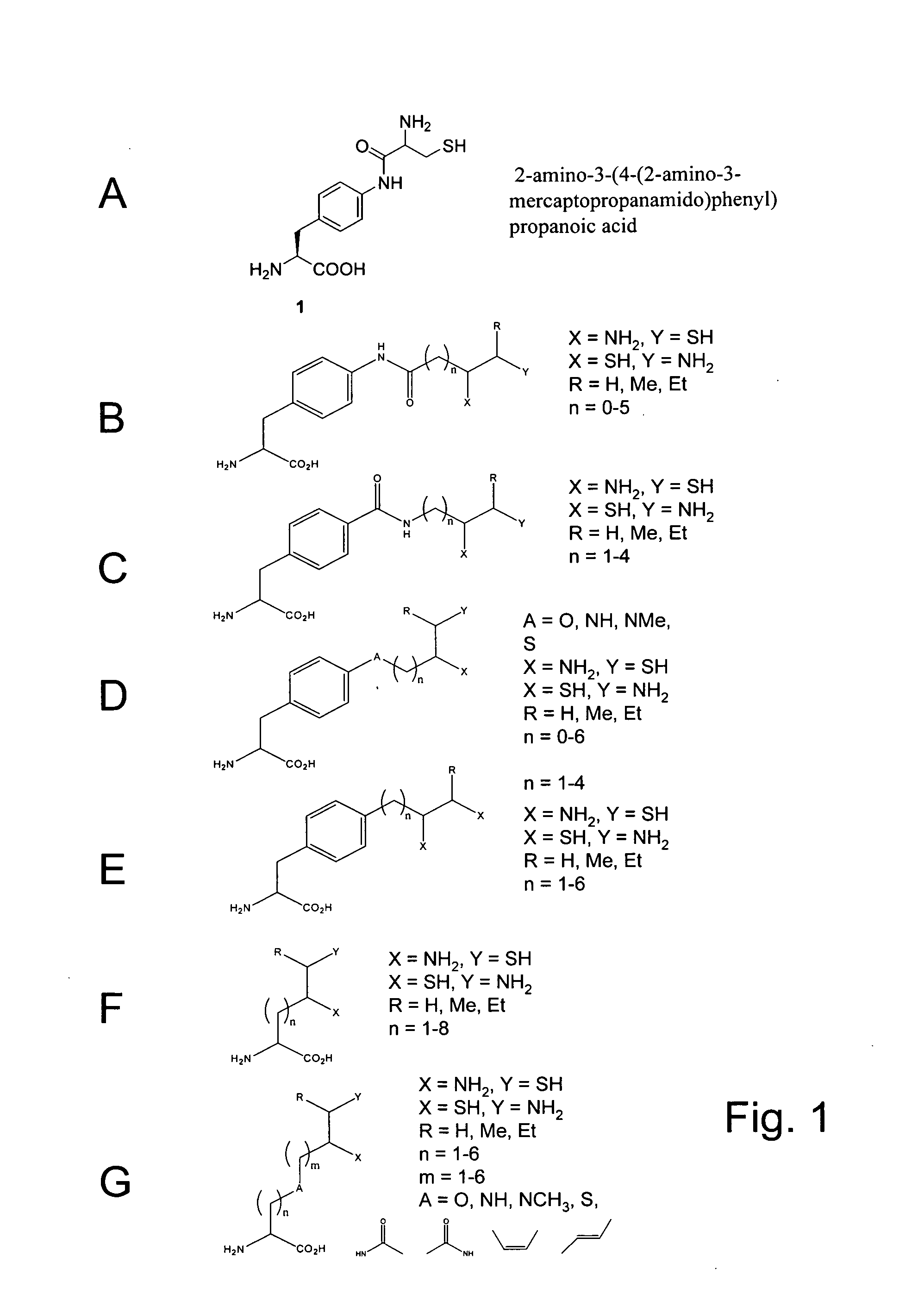 In vivo incorporation of an unnatural amino acid comprising a 1,2-aminothiol group