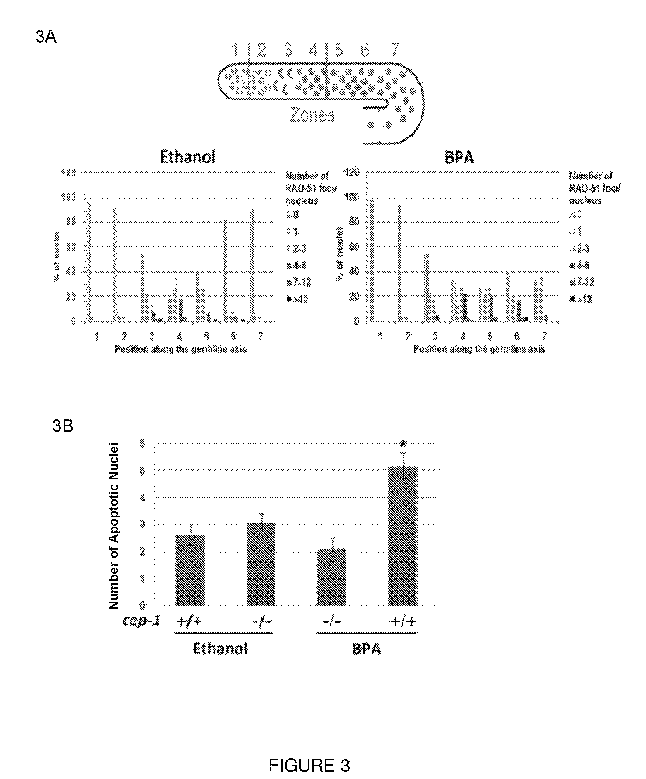 Rapid screen for reproductive toxicants