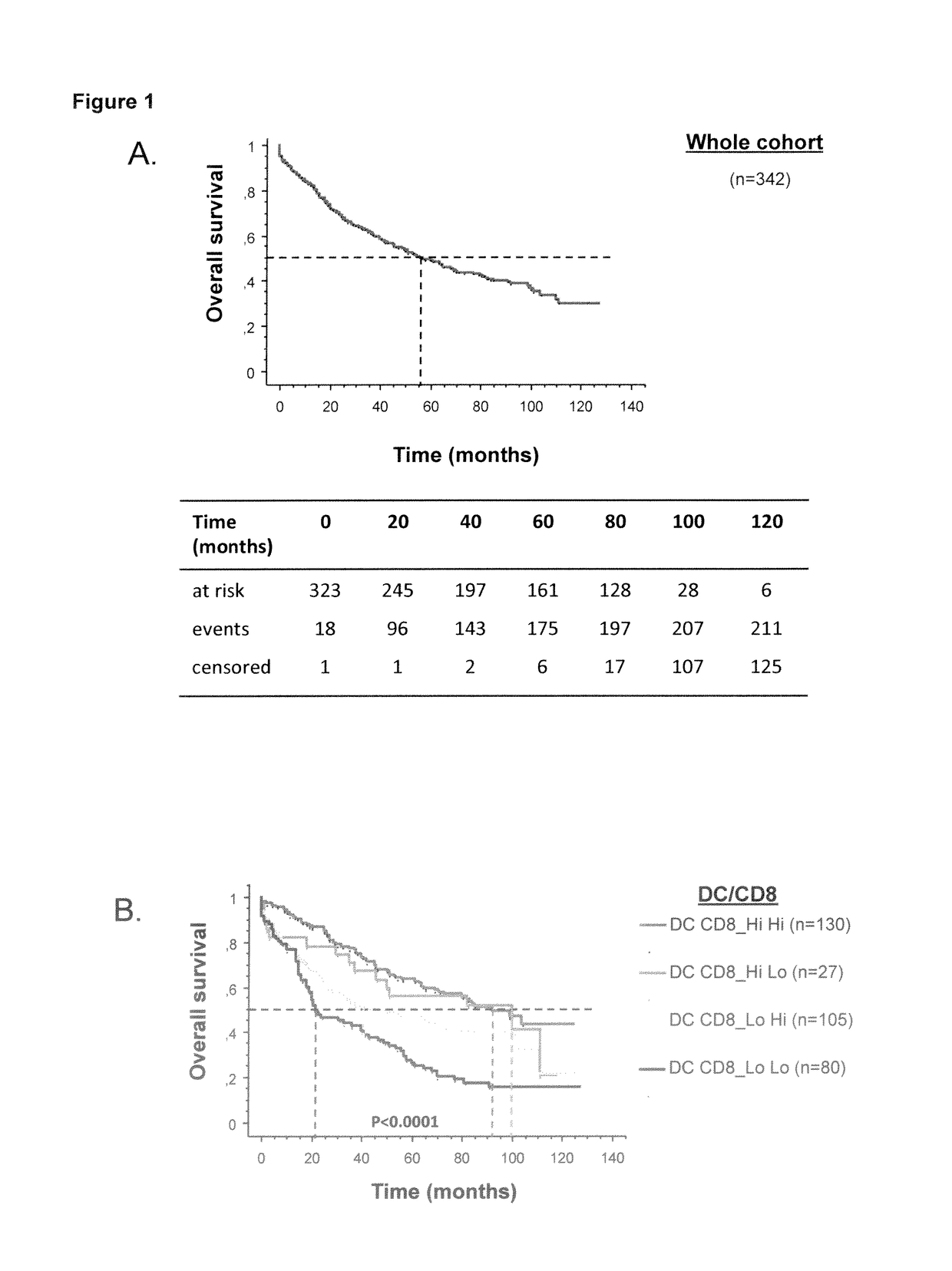 Method for the prognosis of survival time of a patient suffering from a solid cancer