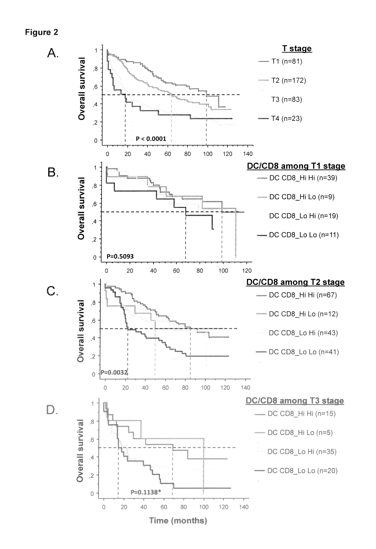 Method for the prognosis of survival time of a patient suffering from a solid cancer