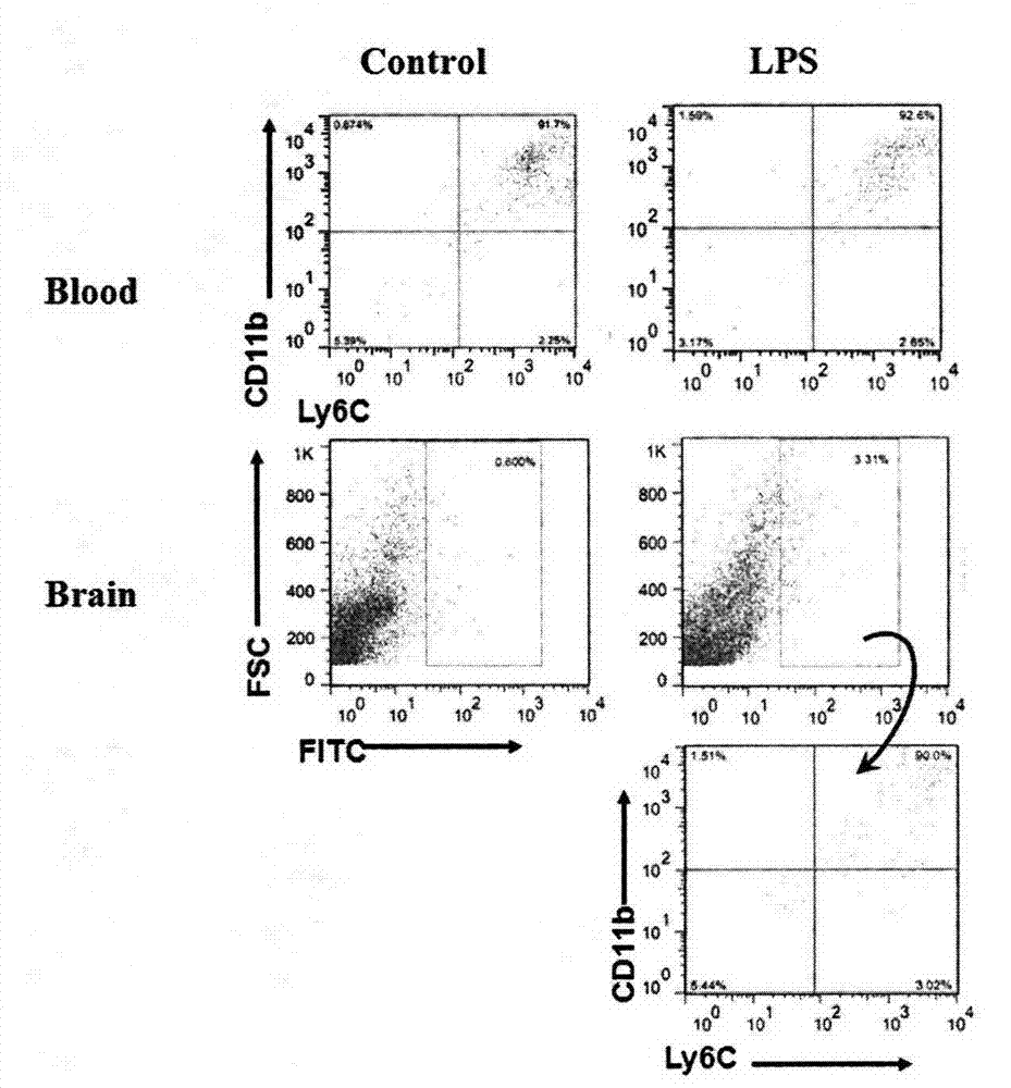 Application of mononuclear cell antibody in treating inflammation-related tristimania