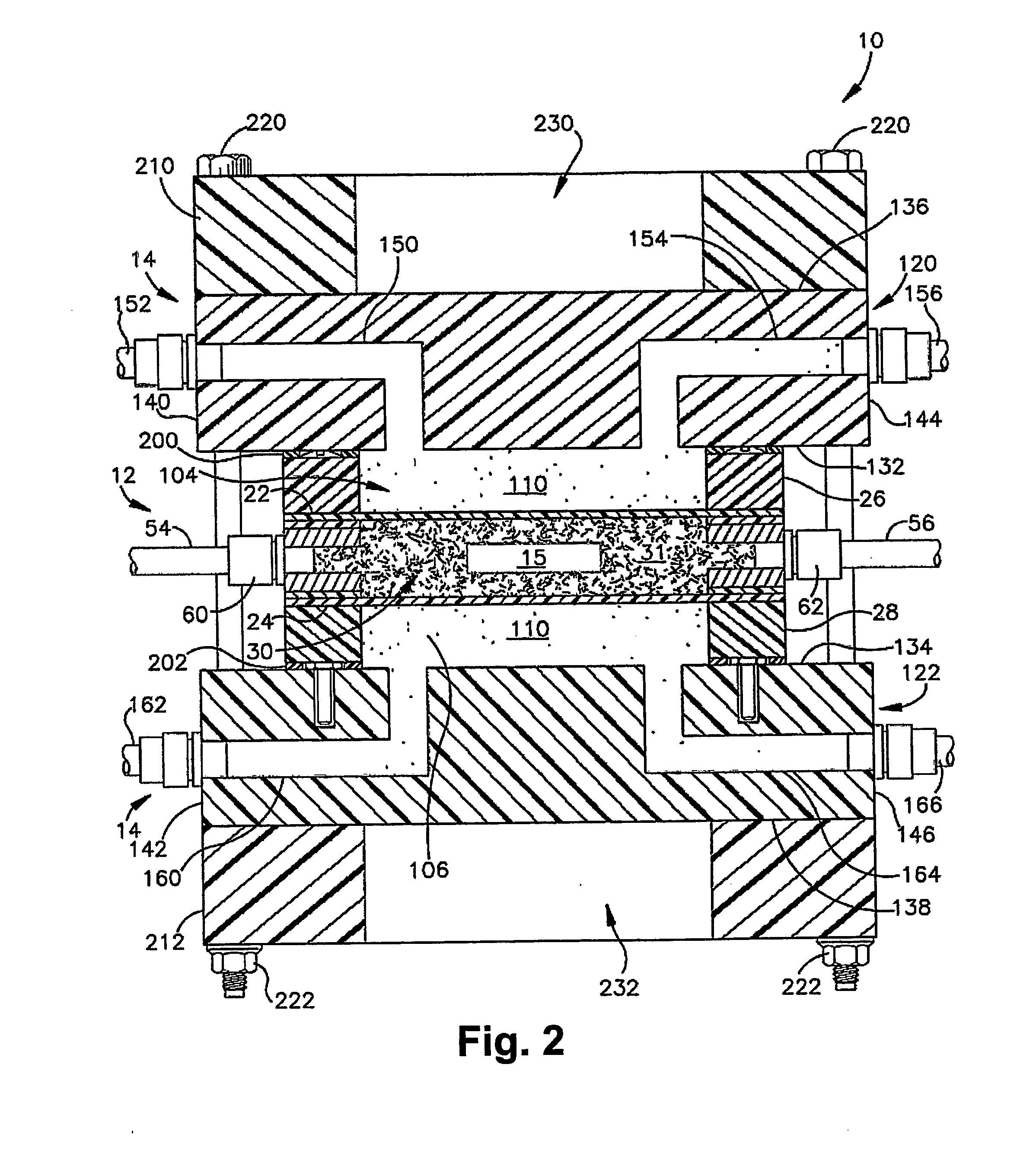 Apparatus and method for tissue engineering