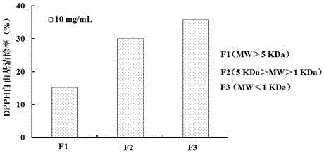 A large yellow croaker fish bone collagen peptide and its preparation method and application