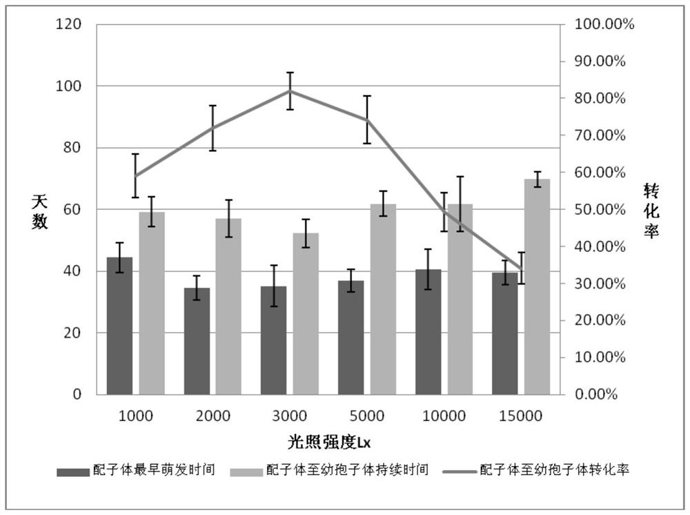 Spore propagation method of rare and endangered adiantum reniforme