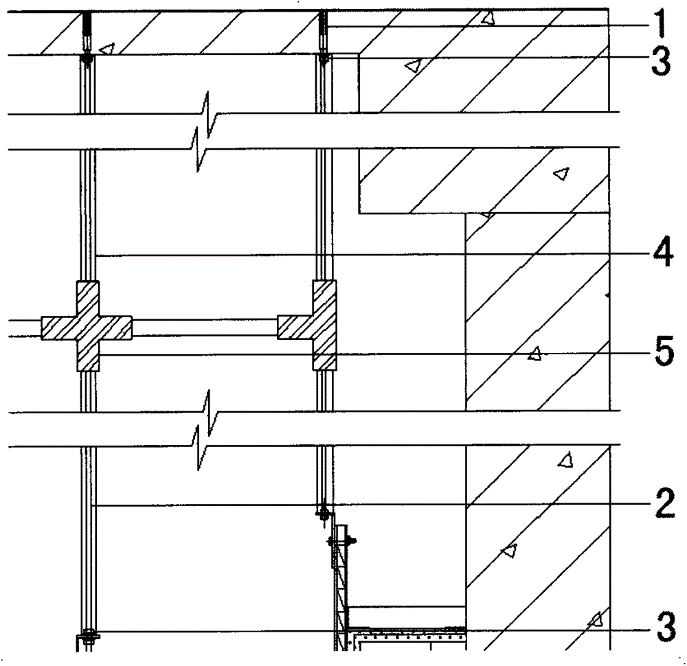 Super-sized hanging and stable structure in the inner space of the ceiling