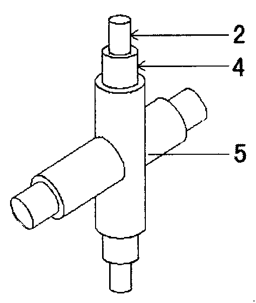 Super-sized hanging and stable structure in the inner space of the ceiling