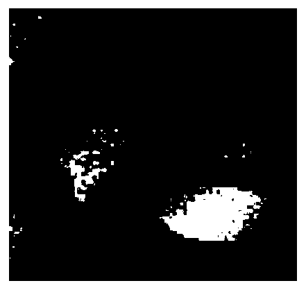 Active Contour Image Segmentation with Mixed Gaussian Distribution Model