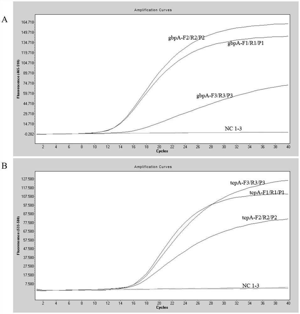 A kit and detection method for absolute quantitative detection of total Vibrio cholerae and pathogenic Vibrio cholerae