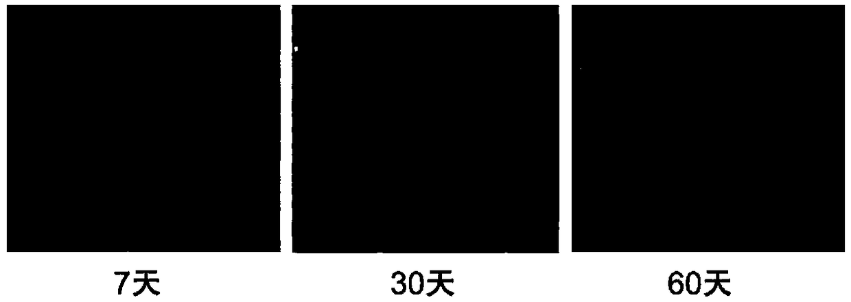 A kind of nerve-promoting repair tube and its preparation method and application