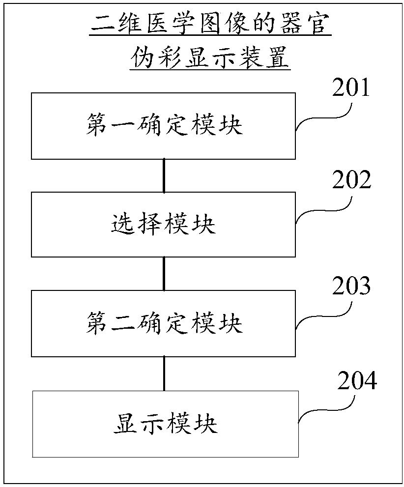 Tissue and organ pseudo-color display method and device for two-dimensional medical image