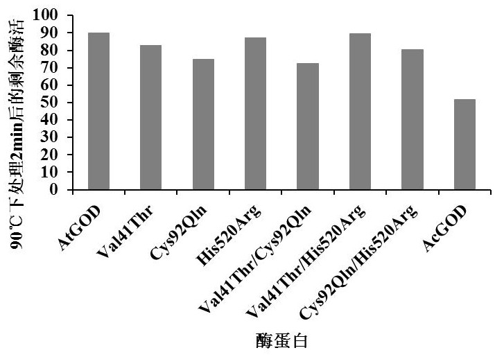 Super-heat-resistant glucose oxidase AtGOD as well as gene and application thereof