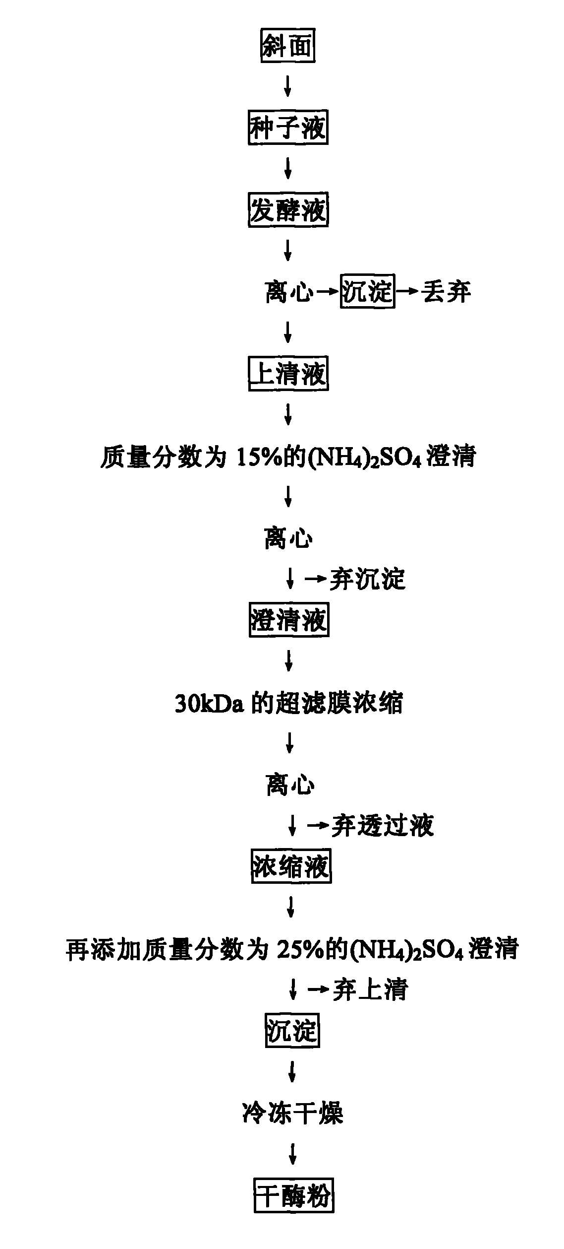 Fermentation preparation and extraction method for bacillus subtilis debitterized aminopeptidase