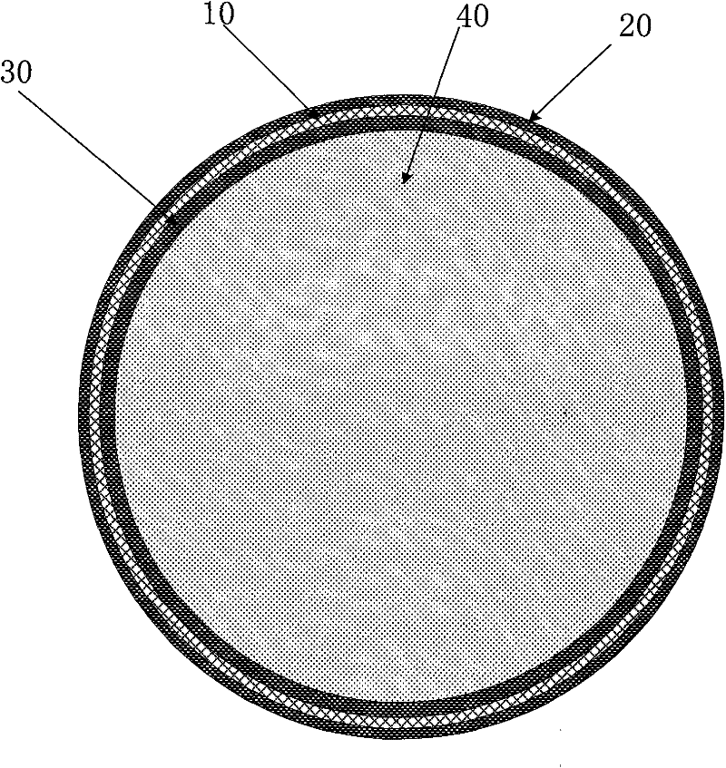 Hollow steel pipe and concrete column filled with sea sand concrete and making method thereof