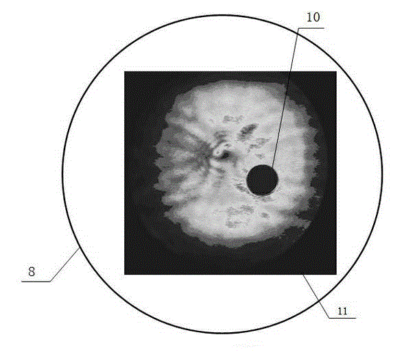 Real-time monitoring method for large-size laser faculae