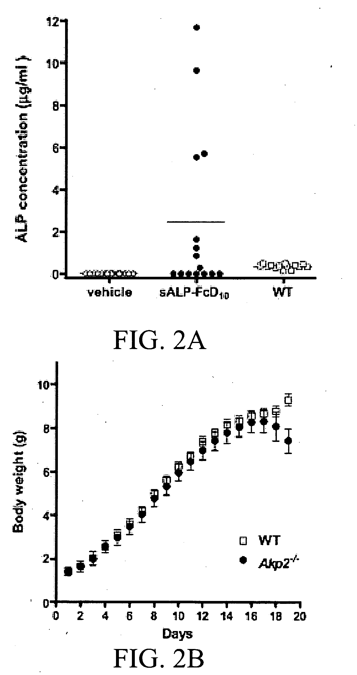 Tissue-nonspecific alkaline phosphatase (TNAP) activators and uses thereof