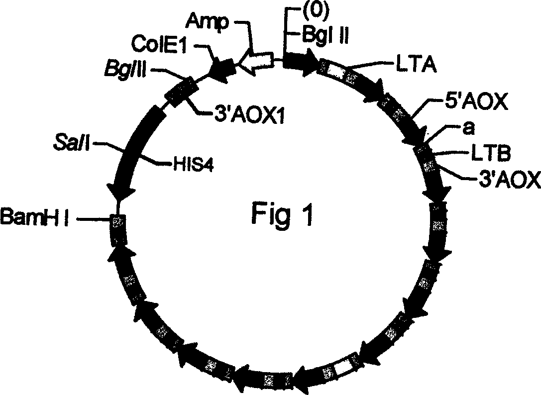 Process for preparing heat-labile enterotoxin of E, coli