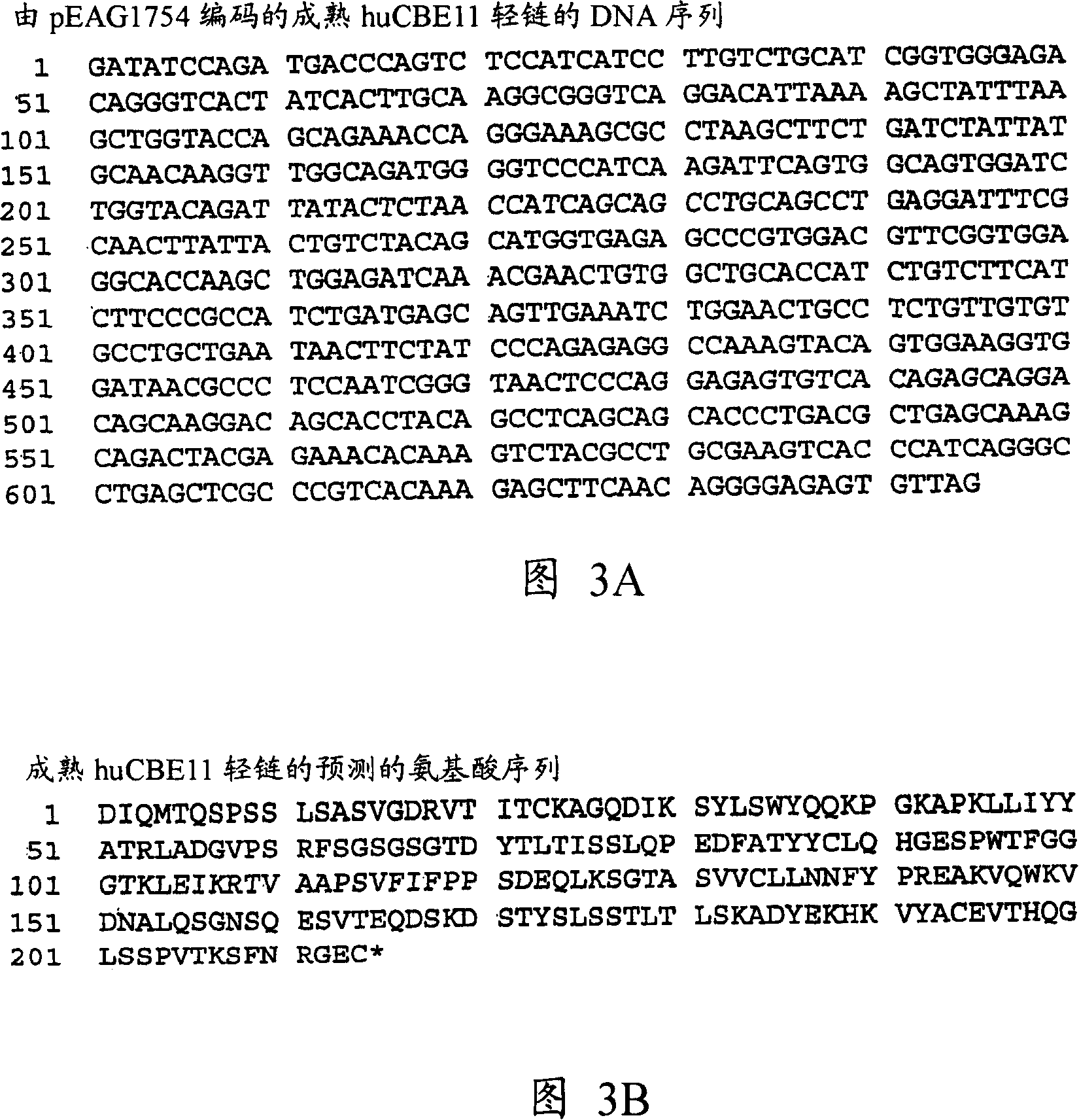 Neonatal Fc receptor (FcRn)-binding polypeptide variants, dimeric Fc binding proteins and methods related thereto